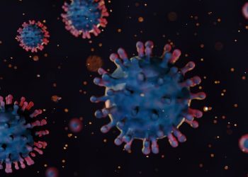 Τι είναι ο ιός Chikungunya που αυξάνεται με ραγδαίους ρυθμούς στην Κίνα;