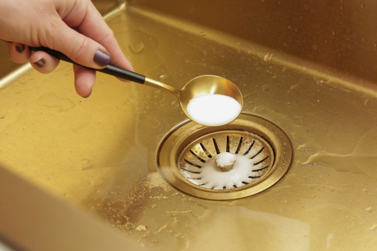 Διώξτε τις κατσαρίδες χωρίς χημικά