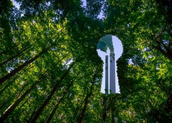 Είναι το αγαπημένο σας «πράσινο» προϊόν τόσο φιλικό προς το περιβάλλον όσο ισχυρίζεται ότι είναι;