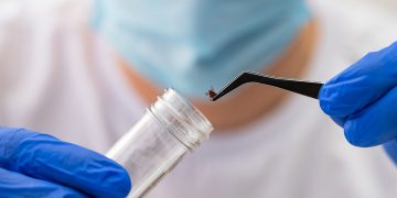 Τι είναι η Νόσος του Lyme από την οποία πάσχει ο Justin Timberlake;