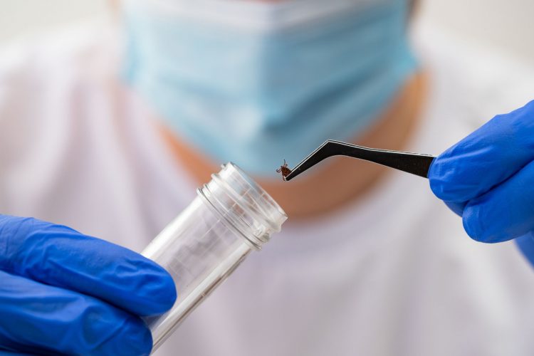 Τι είναι η Νόσος του Lyme από την οποία πάσχει ο Justin Timberlake;