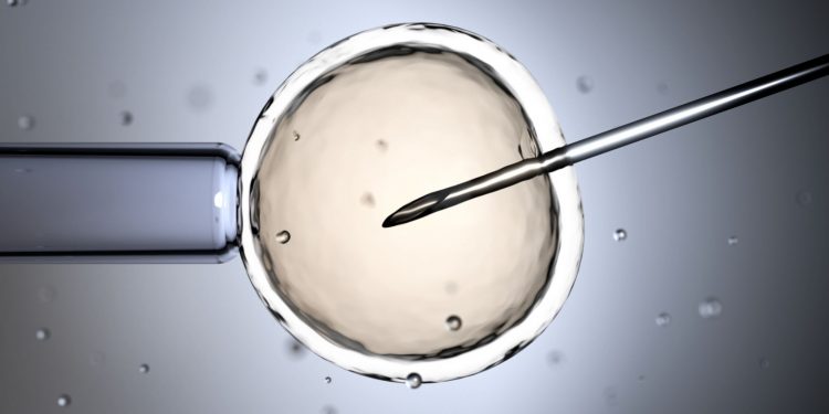 Η Παχυσαρκία μειώνει τις πιθανότητες εγκυμοσύνης με τεχνητή γονιμοποίηση