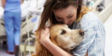 Εξετάζεται η παραμονή σκύλων συντροφιάς μαζί με τους ογκολογικούς ασθενείς-ιδιοκτήτες τους, κατά την διάρκεια της νοσηλείας τους