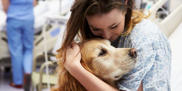 Εξετάζεται η παραμονή σκύλων συντροφιάς μαζί με τους ογκολογικούς ασθενείς-ιδιοκτήτες τους, κατά την διάρκεια της νοσηλείας τους