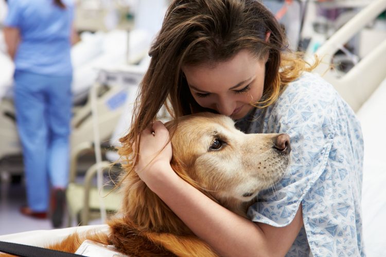 Εξετάζεται η παραμονή σκύλων συντροφιάς μαζί με τους ογκολογικούς ασθενείς-ιδιοκτήτες τους, κατά την διάρκεια της νοσηλείας τους