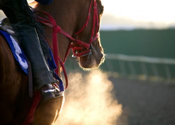 Τα άλογα κούρσας κρατάνε το κλειδί για τη διάσωση ανθρώπινων ζωών