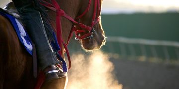 Τα άλογα κούρσας κρατάνε το κλειδί για τη διάσωση ανθρώπινων ζωών