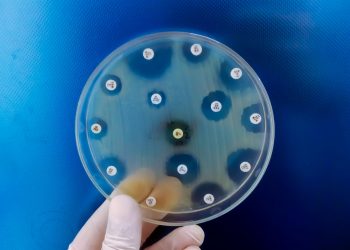 Τα αρχαιότερα μικρόβια ίσως κρατούν το κλειδί κατά της αντοχής στα αντιβιοτικά