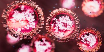 Το μυστήριο για την εξάπλωση της Πανώλης