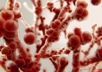 Ανθεκτικός στα φάρμακα μύκητας αναπτύσσεται ραγδαία στα νοσοκομεία της Ευρώπης