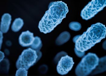 Έντεκα εκατομμύρια νεκροί τον χρόνο εξαιτίας της σήψης 