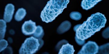 Έντεκα εκατομμύρια νεκροί τον χρόνο εξαιτίας της σήψης 