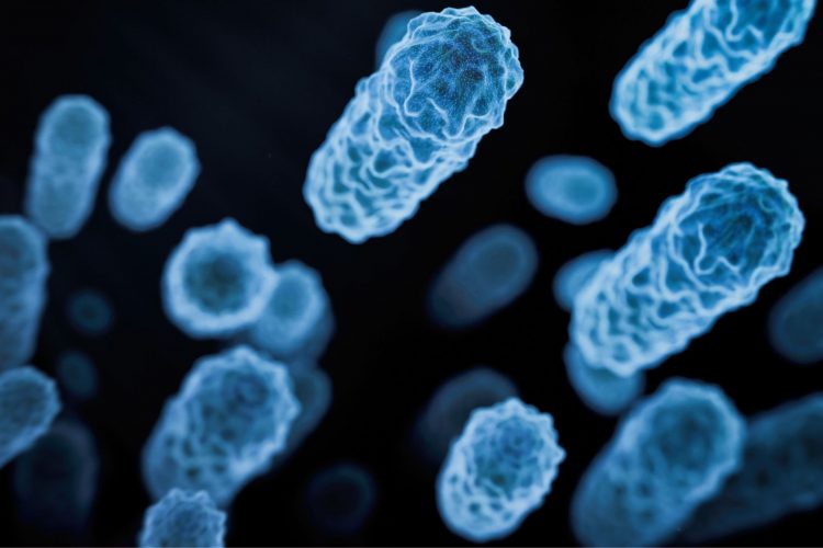 Έντεκα εκατομμύρια νεκροί τον χρόνο εξαιτίας της σήψης 