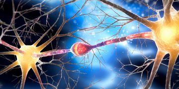 Για πρώτη φορά νέα θεραπεία επιβραδύνει την νόσο του Χάντινγκτον 