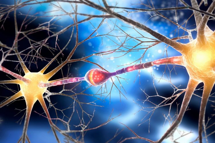 Για πρώτη φορά νέα θεραπεία επιβραδύνει την νόσο του Χάντινγκτον 