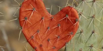 Γιατί αγαπάμε αυτούς που μας πονάνε