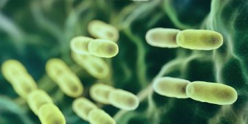 Μικροβίωμα και καρκίνος στους νέους