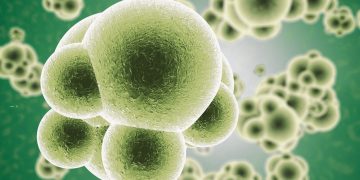 Συναγερμός για την παγκόσμια σιωπηλή απειλή, την σήψη 