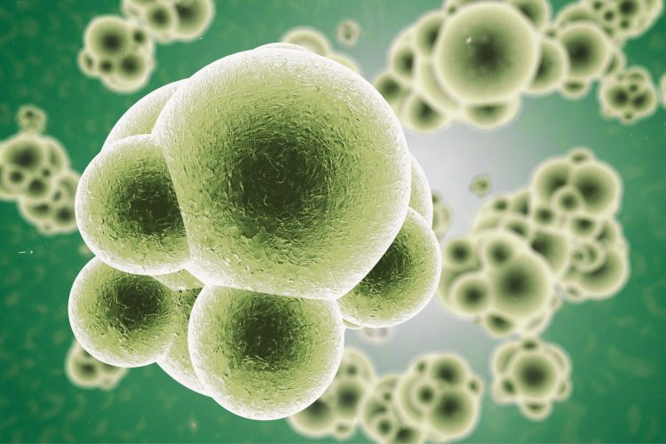 Συναγερμός για την παγκόσμια σιωπηλή απειλή, την σήψη