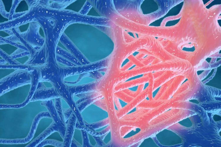 Χρόνια Φλεγμονή: Η σιωπηλή επιδημία του 21ου αιώνα που ευθύνεται για το 20% των θανάτων παγκοσμίως