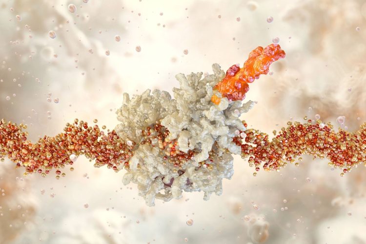 Εμβόλιο mRNA για COVID-19: Νέα ελπίδα στη θεραπεία καρκίνου;