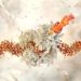 Εμβόλιο mRNA για COVID-19: Νέα ελπίδα στη θεραπεία καρκίνου;