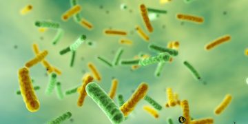 Η επάνοδος της χολέρας - Παγκόσμια επείγουσα ανάγκη για δράση