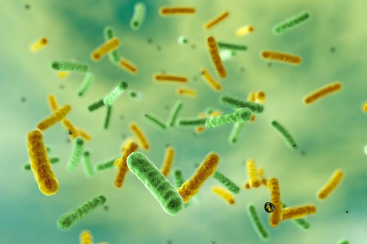 Η επάνοδος της χολέρας - Παγκόσμια επείγουσα ανάγκη για δράση