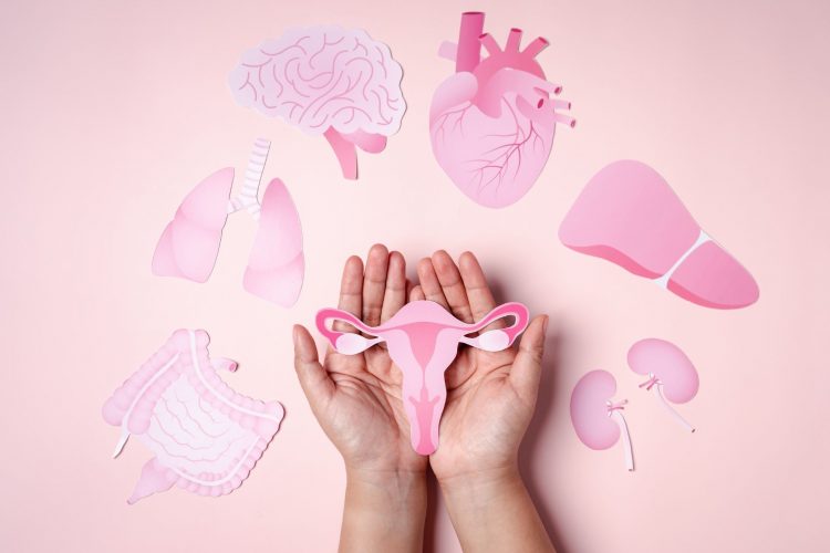 Η Θεραπευτική Κλινική στην πρώτη γραμμή του Ευρωπαϊκού Προγράμματος DISARM για την έγκαιρη διάγνωση του καρκίνου των ωοθηκών