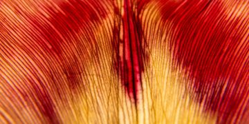 Ξηρότητα του κόλπου: Τι είναι, γιατί συμβαίνει, ποιες είναι οι σύγχρονες θεραπείες και τι πρέπει να προσέξετε