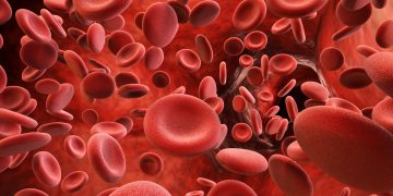 Παγκόσμια Ημέρα Θρόμβωσης: Κάθε 6 δευτερόλεπτα χάνεται μία ζωή από επιπλοκές θρόμβων