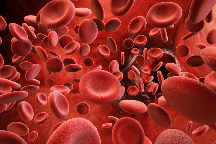 Παγκόσμια Ημέρα Θρόμβωσης: Κάθε 6 δευτερόλεπτα χάνεται μία ζωή από επιπλοκές θρόμβων