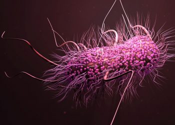 Πέντε εκατομμύριά θάνατοι σε έναν χρόνο από την αντοχή των βακτηρίων στα φάρμακα