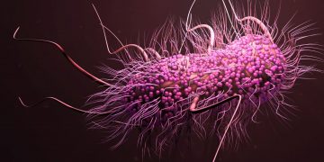 Πέντε εκατομμύριά θάνατοι σε έναν χρόνο από την αντοχή των βακτηρίων στα φάρμακα