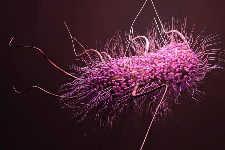 Πέντε εκατομμύριά θάνατοι σε έναν χρόνο από την αντοχή των βακτηρίων στα φάρμακα