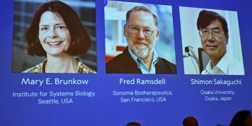 Το Νόμπελ Ιατρικής απονέμεται σε ερευνητές της ακρίβειας του ανοσοποιητικού συστήματος