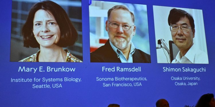 Το Νόμπελ Ιατρικής απονέμεται σε ερευνητές της ακρίβειας του ανοσοποιητικού συστήματος