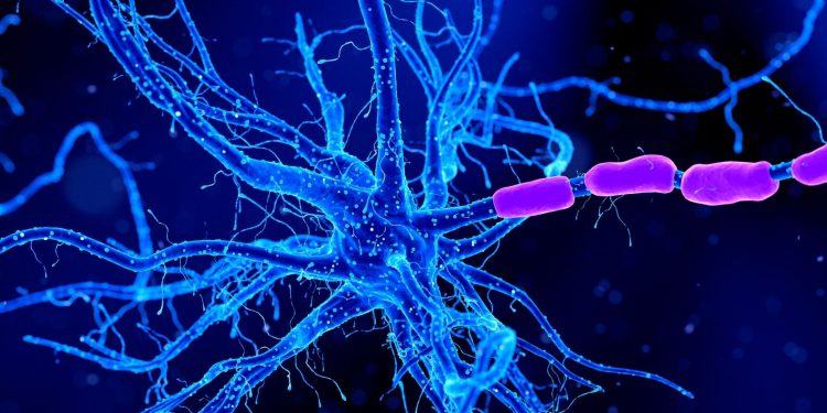 Κορυφαίοι Νευρολόγοι του Affidea neuraCare Χαράσσουν τη Νέα Εποχή στη Νευρολογία