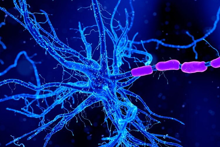 Κορυφαίοι Νευρολόγοι του Affidea neuraCare Χαράσσουν τη Νέα Εποχή στη Νευρολογία