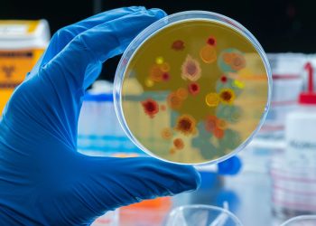 Νέο φάρμακο κατά της ελονοσίας με ισχυρά αποτελέσματα — ελπίδα κατά της ανθεκτικότητας