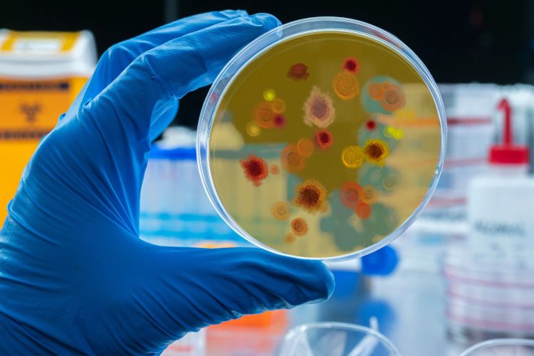 Νέο φάρμακο κατά της ελονοσίας με ισχυρά αποτελέσματα — ελπίδα κατά της ανθεκτικότητας