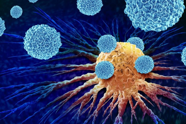 Σημαντικές εξελίξεις στην αντιμετώπιση του ουροθηλιακού καρκίνου στο ESMO 2025