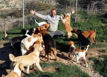 Takis Shelter: Η Ιστορία που Συγκίνησε την Υφήλιο — Από την Ιεράπετρα στην Παγκόσμια Αναγνώριση