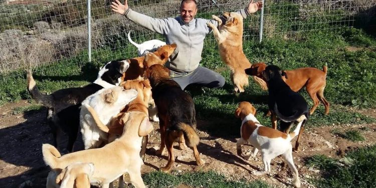 Takis Shelter: Η Ιστορία που Συγκίνησε την Υφήλιο — Από την Ιεράπετρα στην Παγκόσμια Αναγνώριση