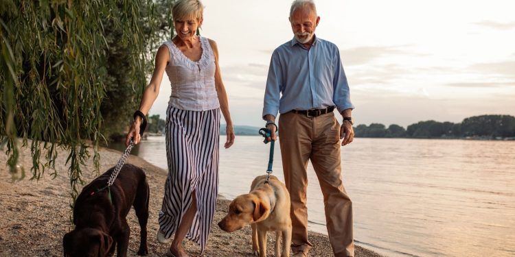 Το μυστικό κατά του Αλτσχάιμερ κρύβεται σε έναν καθημερινό περίπατο