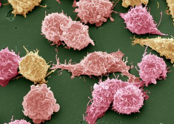 Ενημέρωση για θέματα Υγείας από τη Θεραπευτική Κλινική του Εθνικού και Καποδιστριακού Πανεπιστημίου Αθηνών