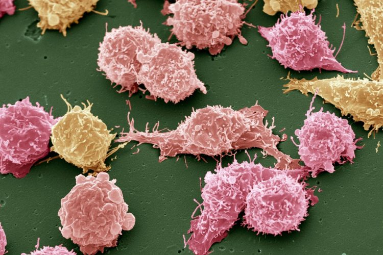 Ενημέρωση για θέματα Υγείας από τη Θεραπευτική Κλινική του Εθνικού και Καποδιστριακού Πανεπιστημίου Αθηνών