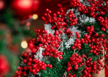 Γιατί το γκι ταυτίζεται με τα Χριστούγεννα;