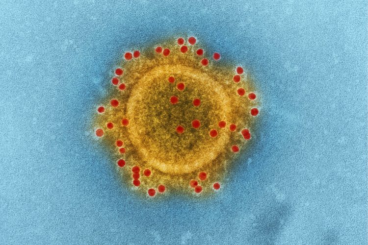 Πειραματική μελέτη ηπατίτιδας Β στη Γουινέα-Μπισσάου: Γιατί έχει προκαλέσει διεθνή κατακραυγή