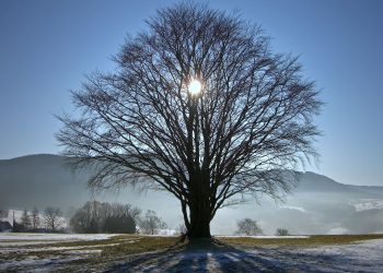 Το χειμερινό ηλιοστάσιο και οι συμβολισμοί του